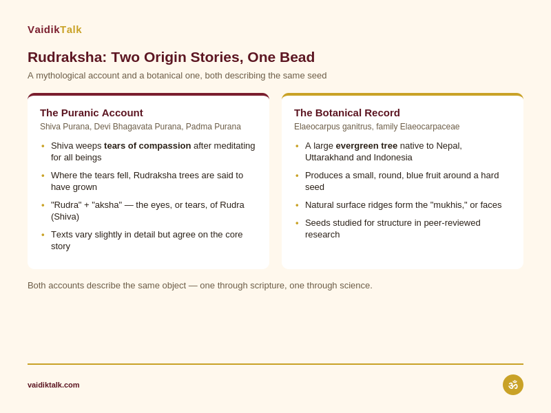 Rudraksha origin